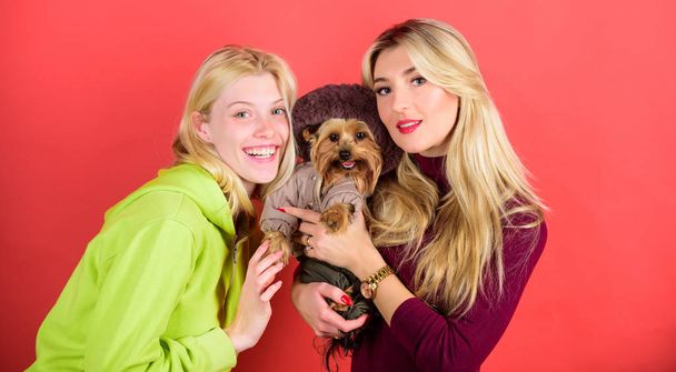 Yorkshire Terrier breed loves socialization. Blonde girls adore little cute dog. Women hug yorkshire terrier. Yorkshire terrier is very affectionate loving dog that craves attention. Cute pet dog - Foto, Imagem