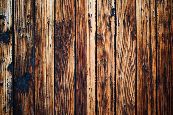 Wood texture - Foto, immagini