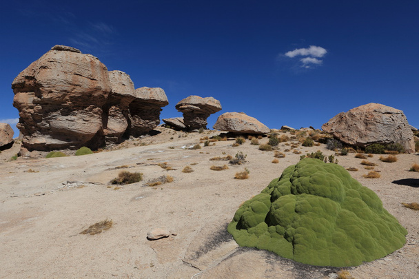kamień formacji altiplano Boliwii - Zdjęcie, obraz