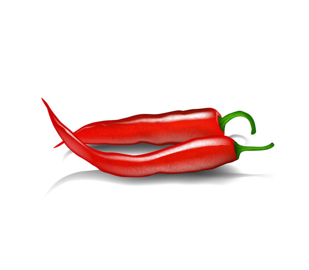 Red pepper chillis. Red hot natural chili peppers with shadow. - Vector, imagen