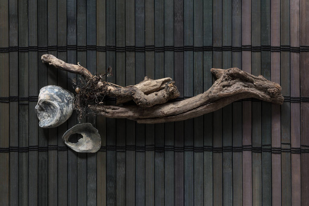 dunkle marine Komposition aus Treibholz und Muscheln auf einer Holzstange. - Foto, Bild