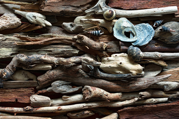 Dramática composición de objetos marinos muertos sobre fondo de madera a la deriva
. - Foto, imagen