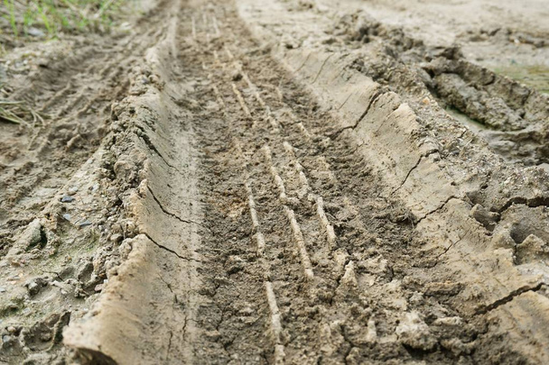 dry wheel track on dirt soil texture - Photo, Image