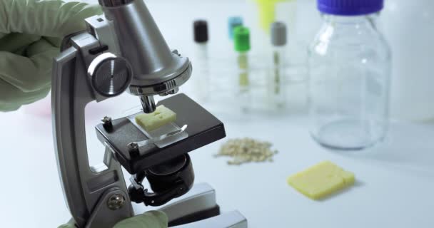 food inspection gmo concept - scientist inspecting cheese quality with microscope in lab - Materiał filmowy, wideo