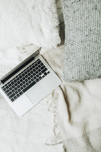 Laptop on sofa with pillows and plaid. Freelancer / blogger / writer lifestyle concept. - 写真・画像