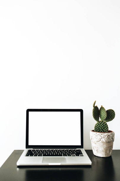 Laptop with empty mockup screen, succulent on white background. Minimal home office workspace concept for social media. - Фото, изображение