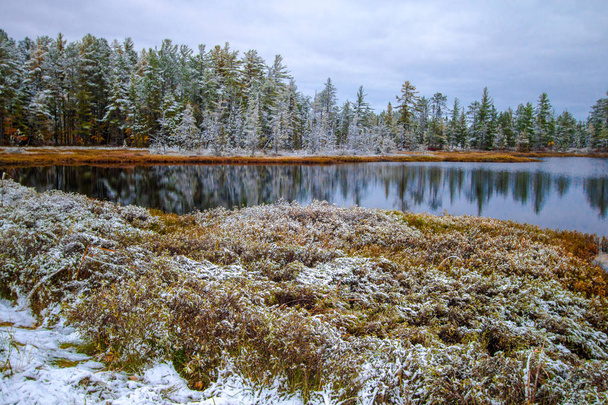 Michigan Winter Wonderland. Precioso bosque boreal de pino y cedro con nieve fresca caída reflejada en las tranquilas aguas de un lago salvaje en la península superior
. - Foto, imagen