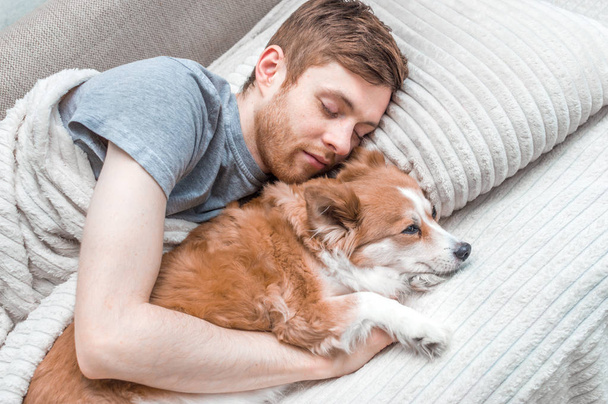 young man and a dog are sleeping in a bed. Closeup portrait. Concept rest - 写真・画像