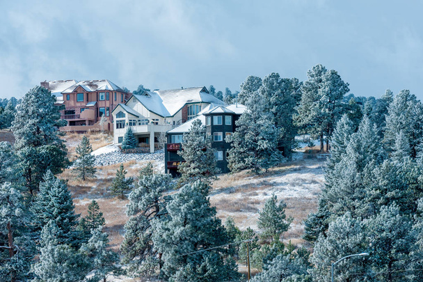 Grandes casas familiares en desarrollo de lujo con abetos de nieve, Montañas Rocosas, Colorado, EE.UU.
 - Foto, Imagen