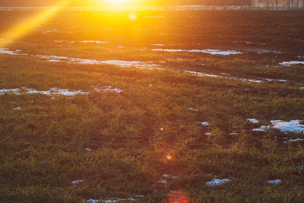 A luz do sol de manhã cedo. Primavera no campo. Início da primavera na Bielorrússia, Polesie
, - Foto, Imagem