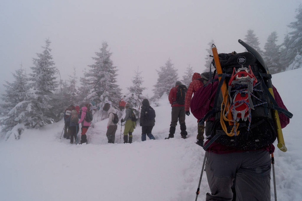 Sprzęt wspinaczkowy; Łopata śnieżna na plecaku; koty wspinaczkowe; topór lodowy; Zespół alpinistów na szlaku; Alpinistów w śniegu; - Zdjęcie, obraz