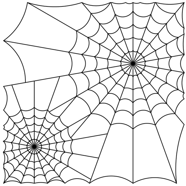 kobweb vektor - Vektor, kép