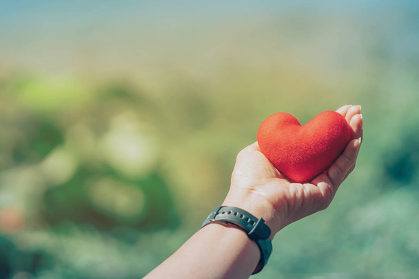 Рука утримуйте червоне серце форму подушку перед Маунтін-В'ю. Концепція любов на день Святого Валентина. - Фото, зображення
