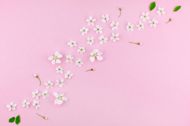 Creatieve bovenaanzicht kersenboom bloeiende bloemen frame patroon op duizendjarige roze achtergrond met kopie ruimte in minimalistische stijl, sjabloon voor belettering, tekst of uw ontwerp - Foto, afbeelding