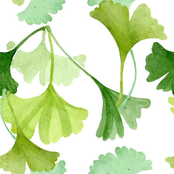 Ginkgo biloba green leaves. Watercolor background illustration set. Seamless background pattern. - Photo, Image