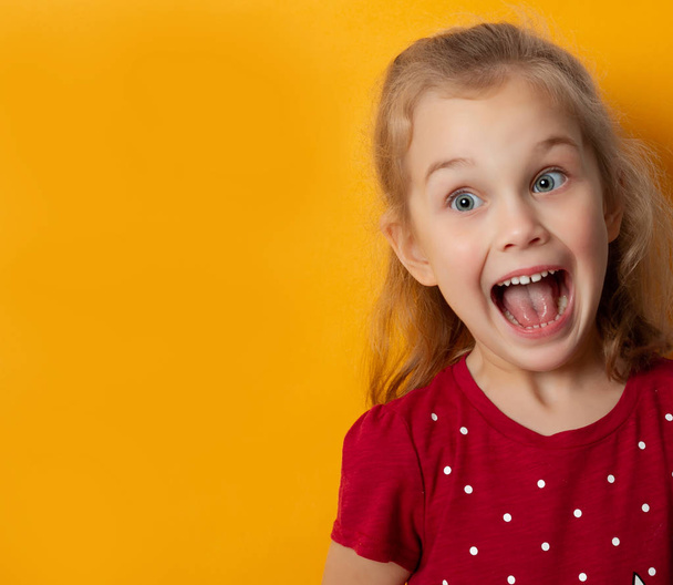 Beautiful little girl reacting emotionally screaming in shock - Photo, Image