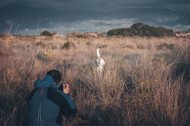 Фотограф с камерой фотографирует бегущую собаку. Travel Lifestyle concept adventure active vacations outdoor
  - Фото, изображение