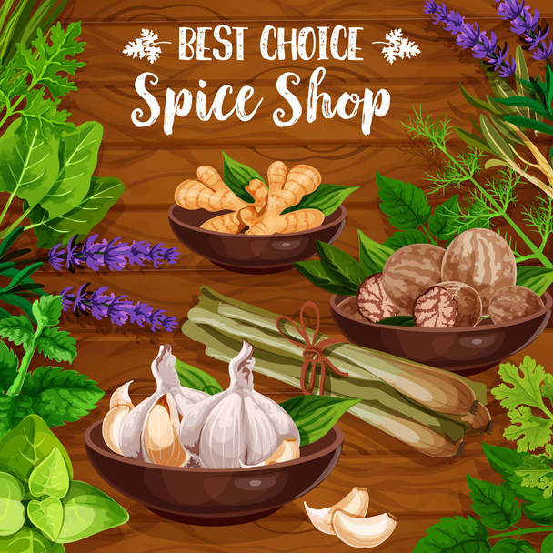 Culinary spice herbs, cooking herbal seasonings - Vector, Image