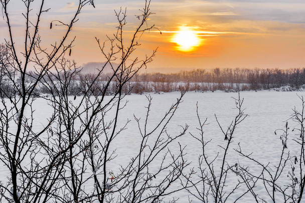 Kaunis talvi auringonlasku puun oksilla ja lumisella pellolla
. - Valokuva, kuva