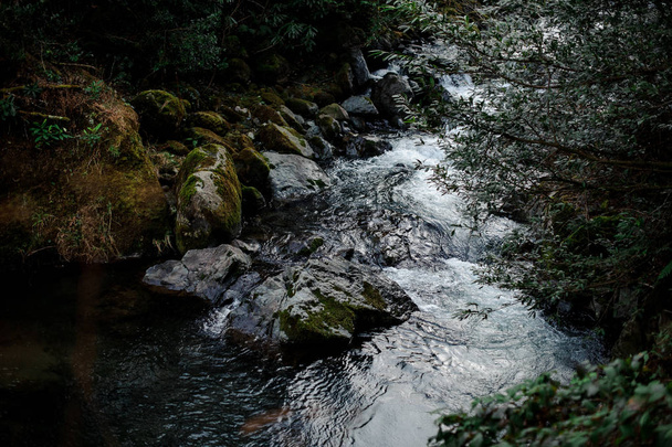 Hermoso paisaje del río salvaje de montaña en las rocas con musgo
 - Foto, imagen