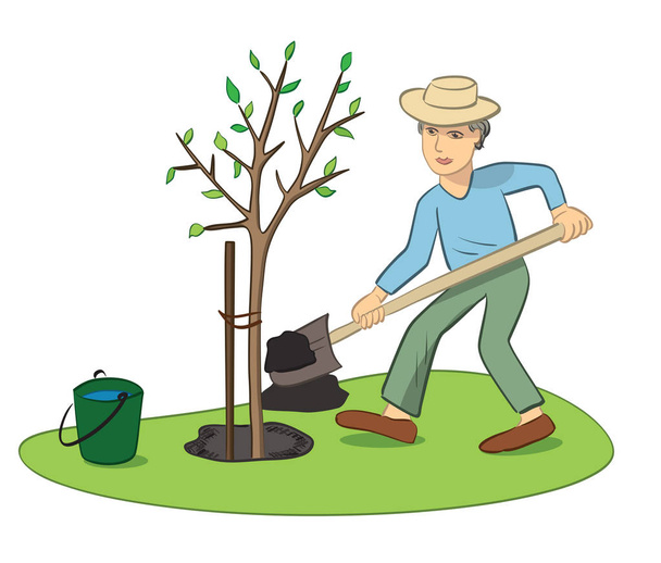 春の庭仕事、緑の葉の若い木を植える男 - ベクター画像