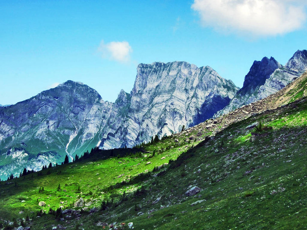 Prealpy Szwajcarskie pasmo górskie - kantonu St. Gallen, Szwajcaria - Zdjęcie, obraz