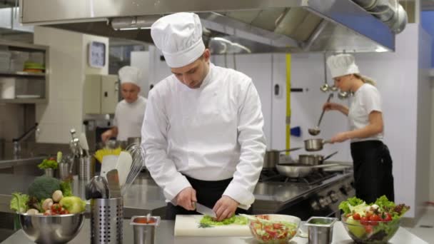 chef-kok koken dan snijdt zichzelf schade  - Video