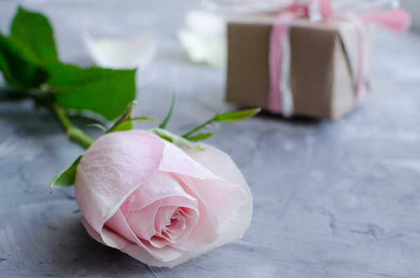У день Святого Валентина. Пастельні рожеві троянди з подарунковій коробці на тлі сірого бетону. Святковий концепція для день Святого Валентина, день матері або день народження. Макет дизайн-макет для вашого тексту. Копія простір. - Фото, зображення