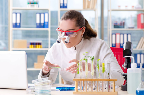 ラボで働く女性のバイオ科学者化学者 - 写真・画像