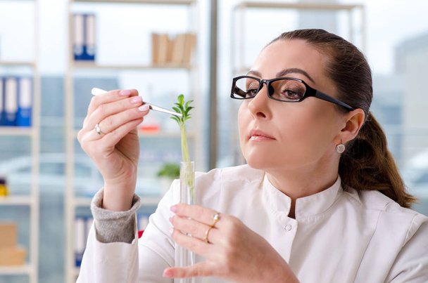 Female biotechnology scientist chemist working in the lab - Фото, изображение