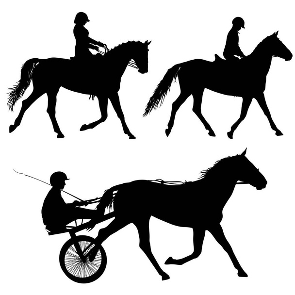 Set silhouette noire de cheval et jockey
 - Vecteur, image