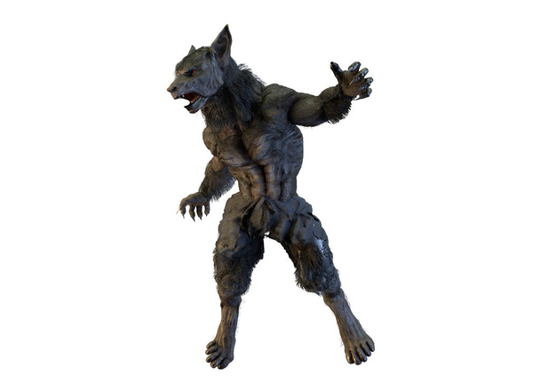 3D obrázek vlkodlak na bílém pozadí - Fotografie, Obrázek