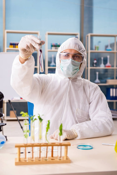 Male biotechnology scientist chemist working in the lab - 写真・画像