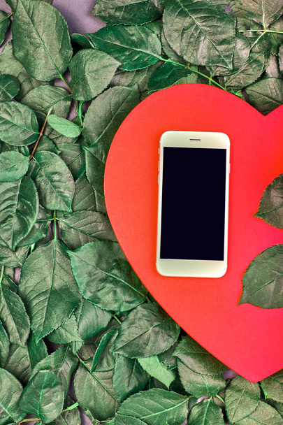 Valentinstag stieg das rote Herz. rotes Herz mit Rosen auf einem Hintergrund aus grünen Rosenblättern mit weißem Smartphone. Grußkarte und Gestaltungselement - Foto, Bild