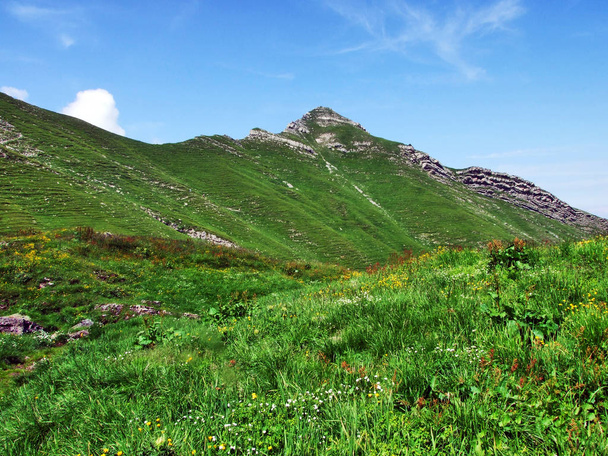 Szezonális hegyi legelők Schaneralp területén, és a lejtőin a Alvier Mountain - St. Gallen kanton, Svájc - Fotó, kép