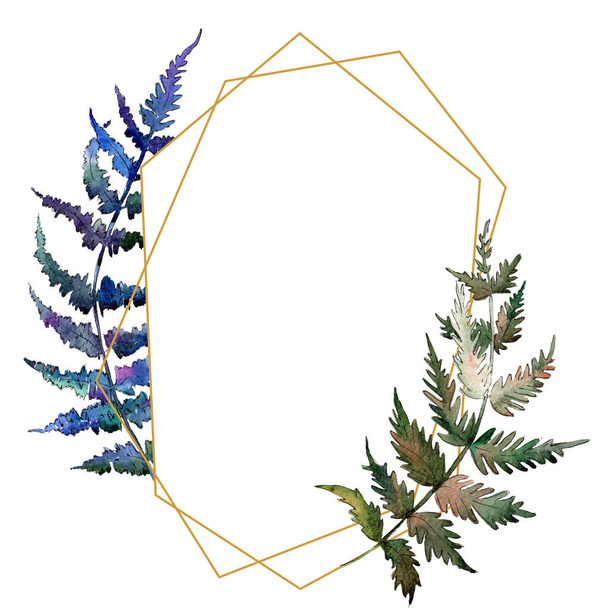 Fern Green leaf. Plant garden floral foliage. Watercolor background illustration set. Frame border ornament square. - Photo, image