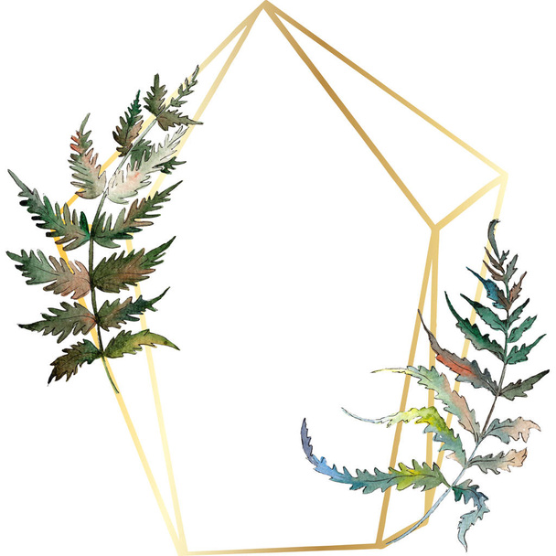 Fern Green leaf. Plant garden floral foliage. Watercolor background illustration set. Frame border ornament square. - Photo, Image