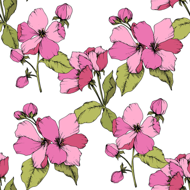 Vector rosa flor de maçã flor botânica floral. Arte de tinta gravada. Padrão de fundo sem costura
. - Vetor, Imagem