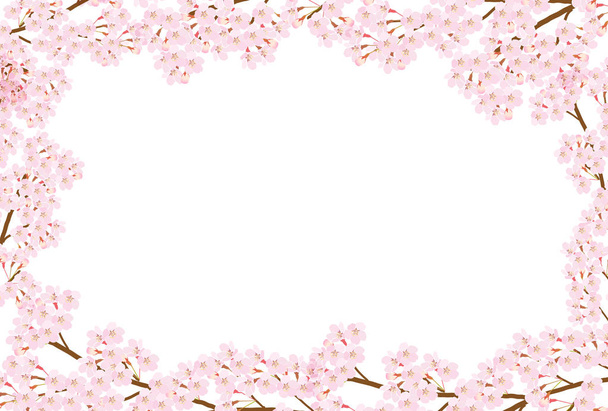Fiore di ciliegio primavera fiore sfondo - Vettoriali, immagini