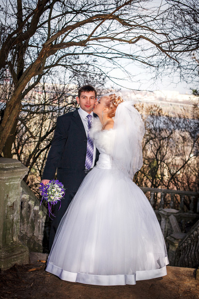 Bride and groom in a park - Photo, Image