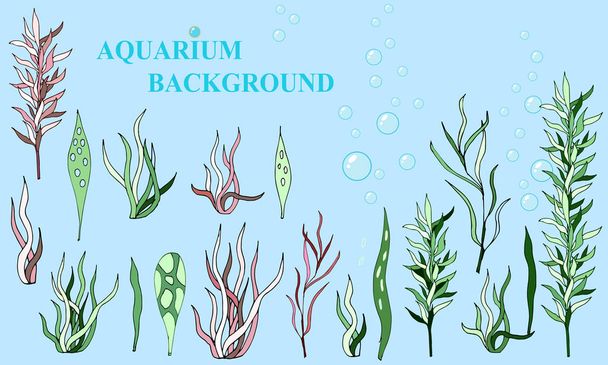 Colección vectorial de plantas verdes y rojas en acuario, algas, plantas marinas
. - Vector, Imagen