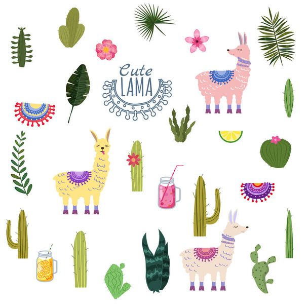 Set Lama Alpaca cactus bevande e decorativi. Collezione di elementi per la decorazione, vettore, illustrazione, isolato, stile carino
 - Vettoriali, immagini