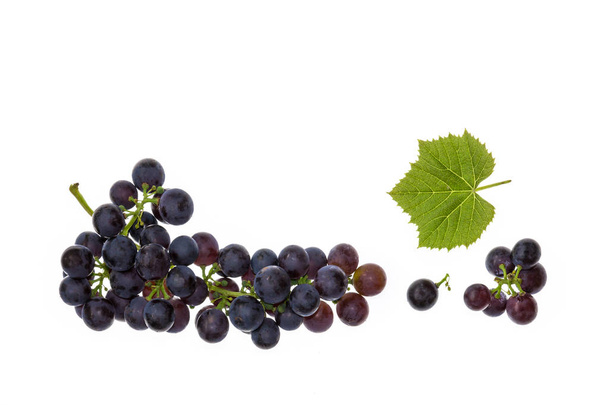 closeup of muscat noir grapes isolated on white background with copy space above - Zdjęcie, obraz