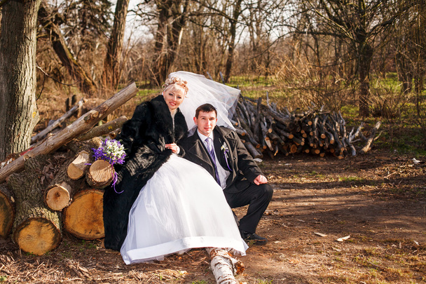 νύφη και γαμπρός σε ένα πάρκο - Φωτογραφία, εικόνα