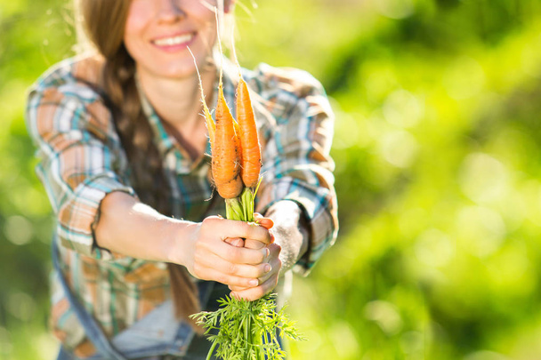 Gardener working outdoors, picking up organic carrot - Fotografie, Obrázek