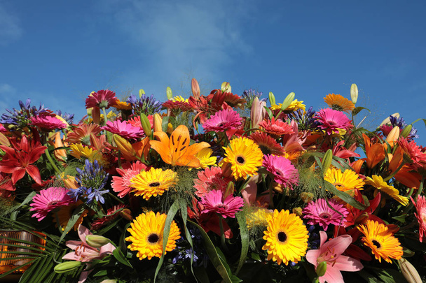 Decoración florística con coloridas gerberas y lirios contra un cielo azul
 - Foto, imagen