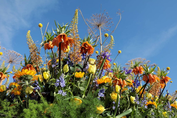 Mavi gökyüzü karşı tropikal çiçeklerle bitki dekorasyon - Fotoğraf, Görsel