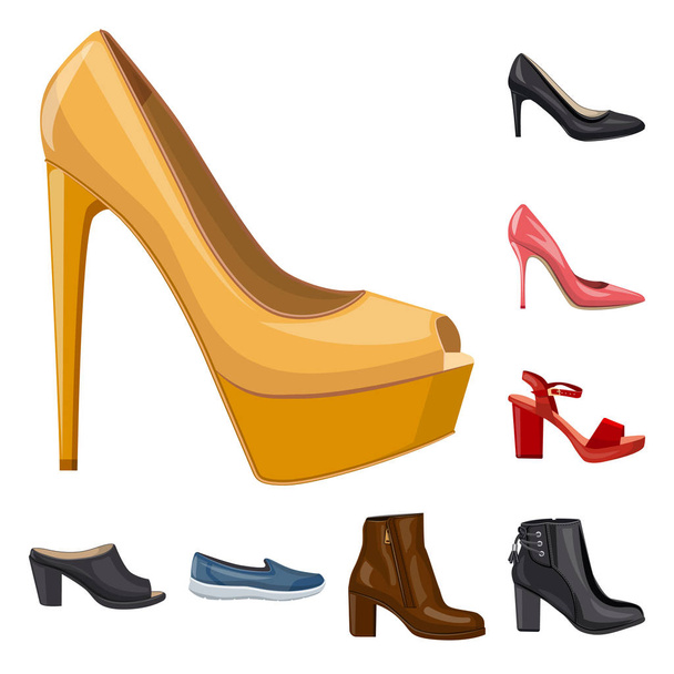 Vector design of footwear and woman sign. Collection of footwear and foot vector icon for stock. - Vetor, Imagem