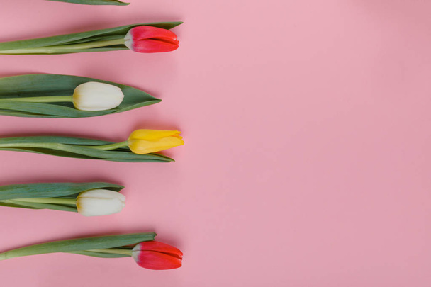 Spring Tulips Flowers Concept. Valentine's Day, Woman's Day, Mother's Day. - Zdjęcie, obraz