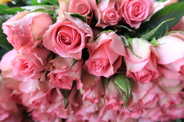 Φόντο με πολύχρωμα τριαντάφυλλα λαμπρό για ειδικές ημέρες - Φωτογραφία, εικόνα